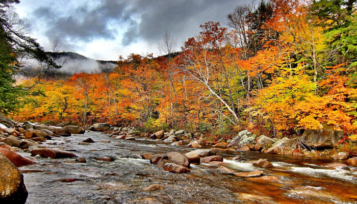 Fall In The Smoky Mountains